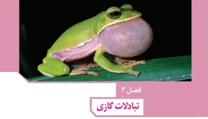 Read more about the article نکات زیست دهم فصل۳